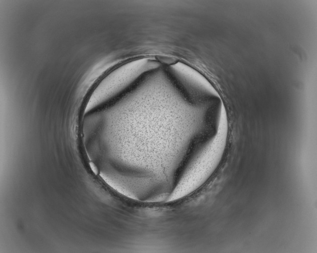 X0000113320103200910051133