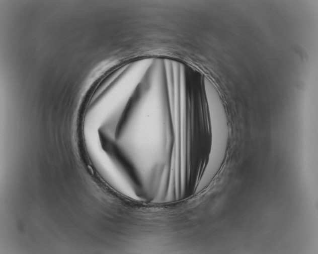 X0000113320104200910051133