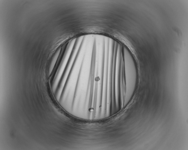 X0000113320105200910051133