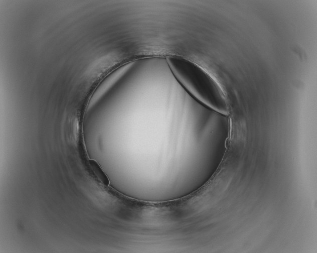 X0000113320109200910051133