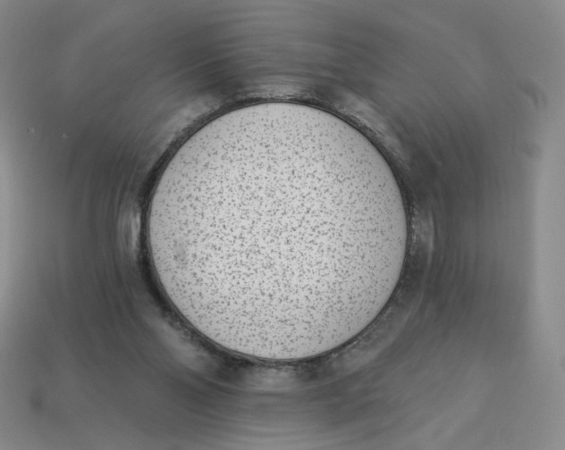 X0000113320110200910051133