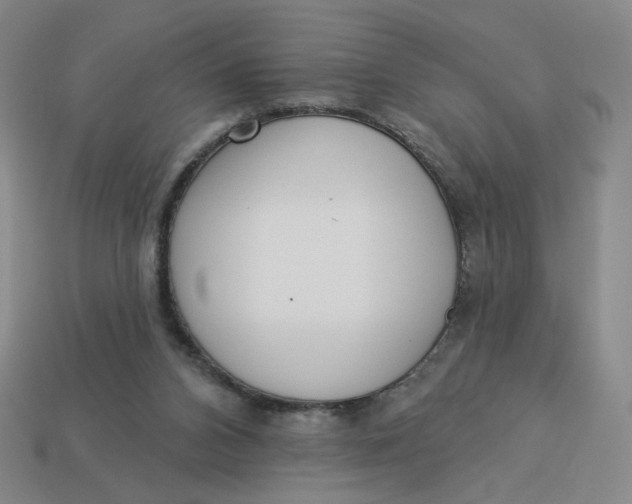 X0000113320112200910051133