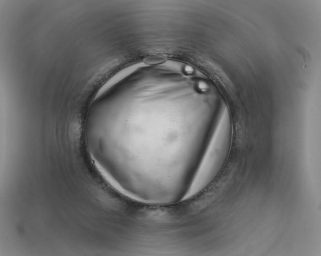 X0000113320113200910051133