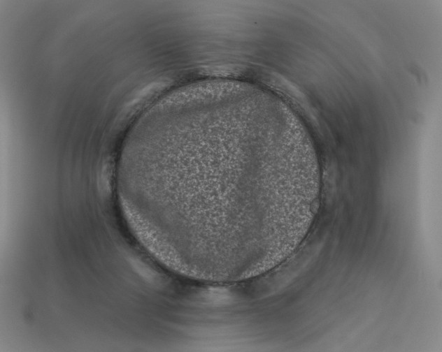 X0000113320114200910051133