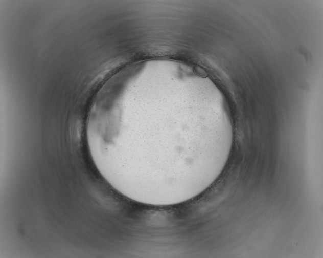 X0000113320115200910051133