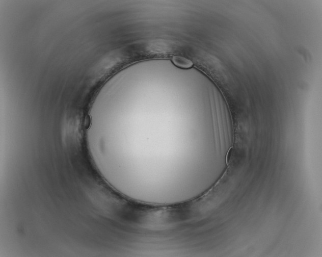 X0000113320116200910051133