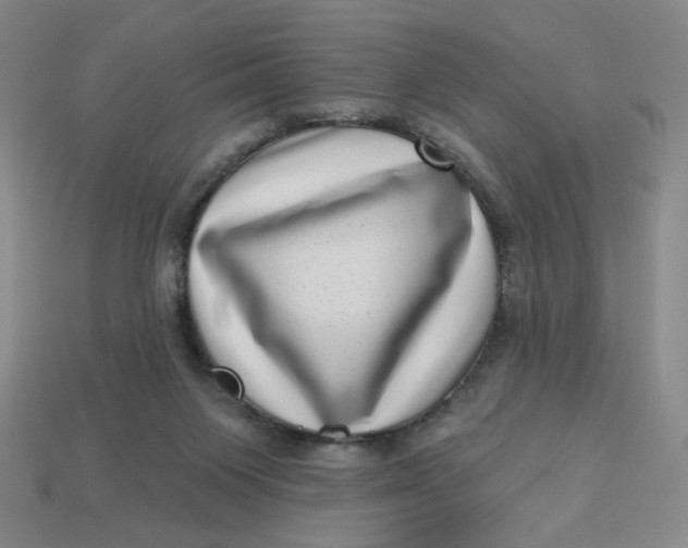 X0000113320119200910051133