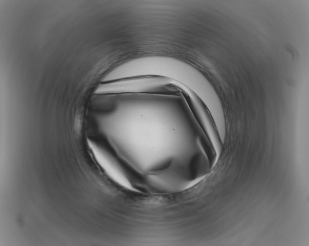 X0000113320124200910051133