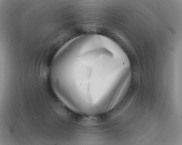 X0000113320125200910051133