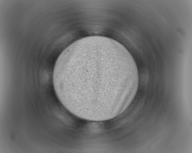 X0000113320126200910051133