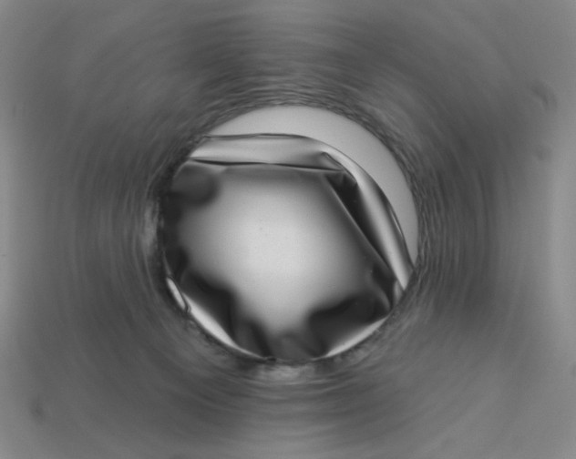 X0000113320129200910051133