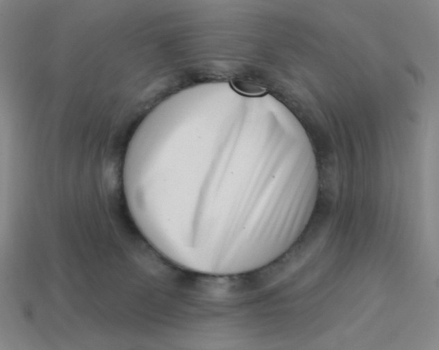 X0000113320131200910051133