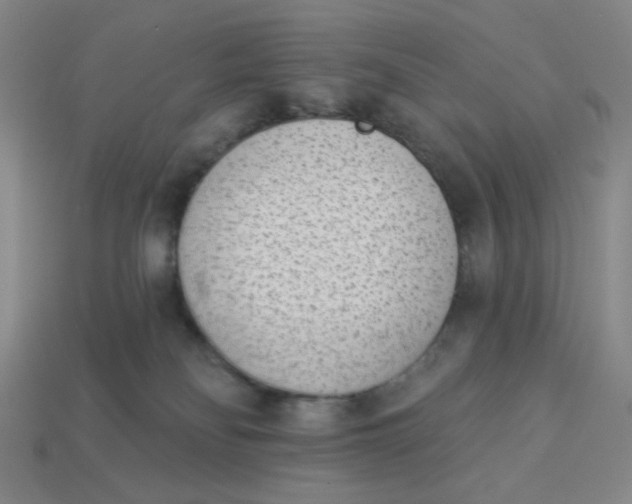 X0000113320134200910051133