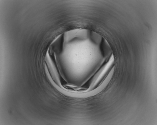 X0000113320137200910051133