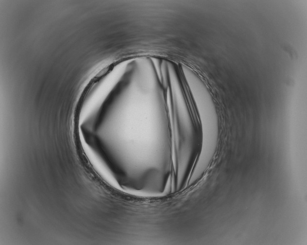 X0000113320148200910051132