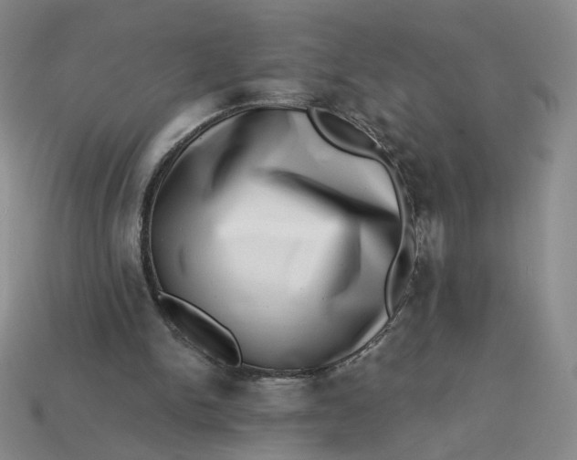 X0000113320150200910051132