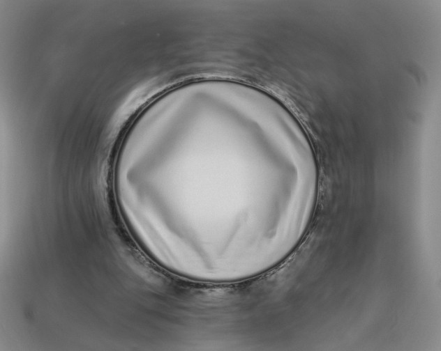 X0000113320151200910051132