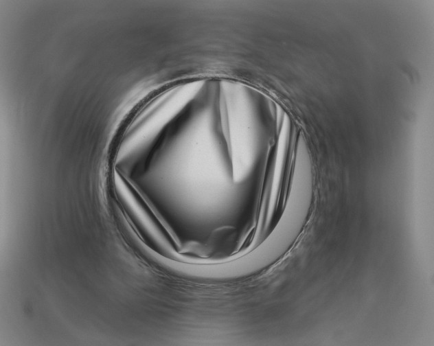 X0000113320152200910051132