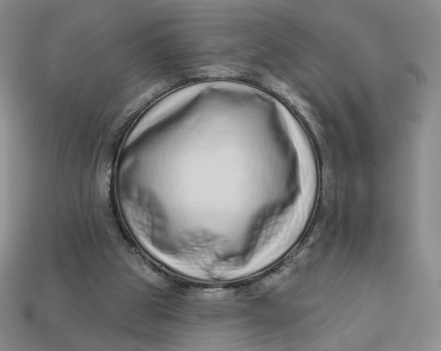 X0000113320153200910051132