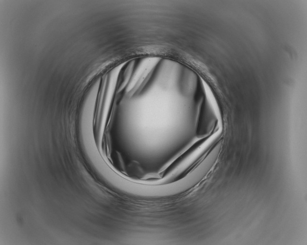 X0000113320154200910051132