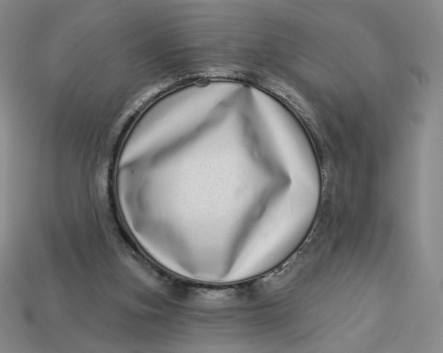 X0000113320155200910051132