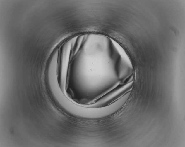 X0000113320156200910051132