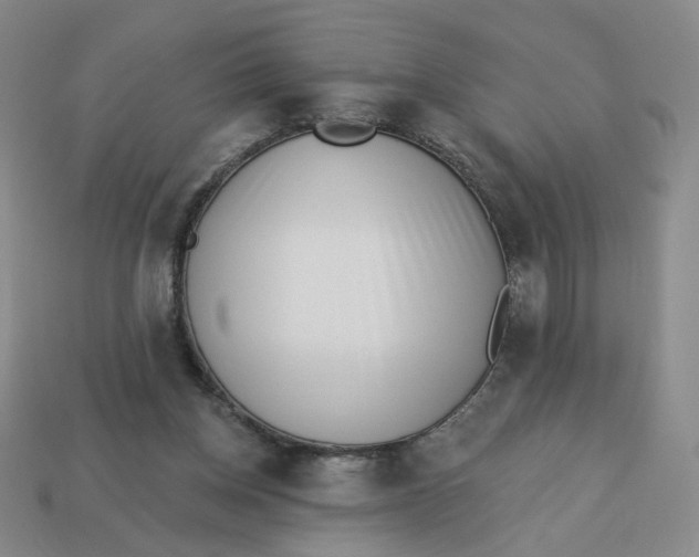 X0000113320158200910051132