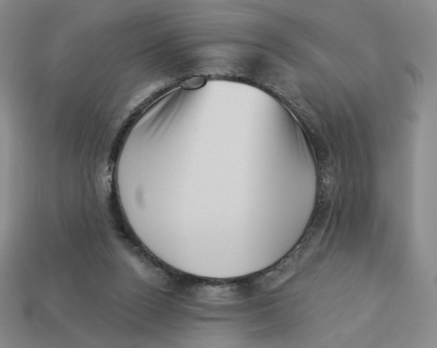 X0000113320160200910051132