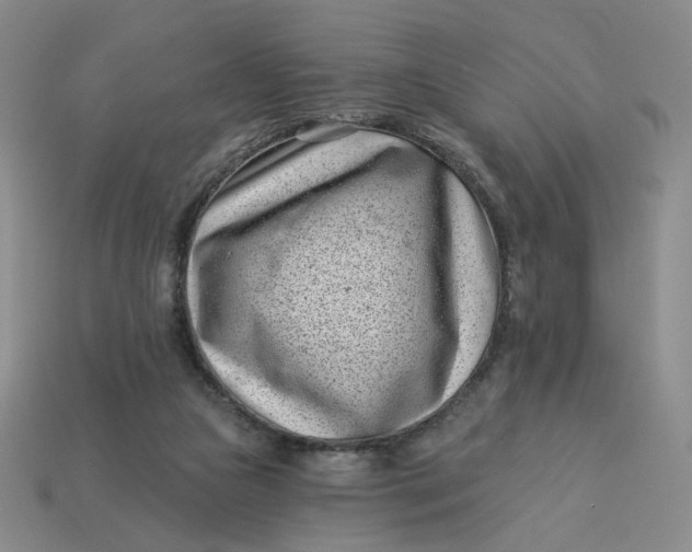 X0000113320161200910051132