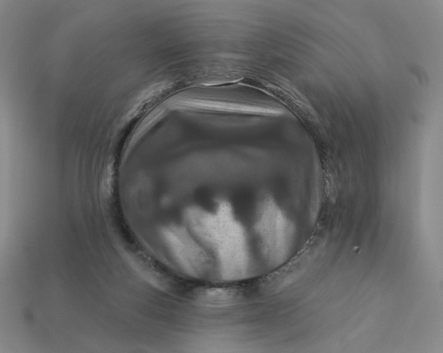 X0000113320163200910051132