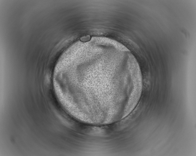 X0000113320166200910051132