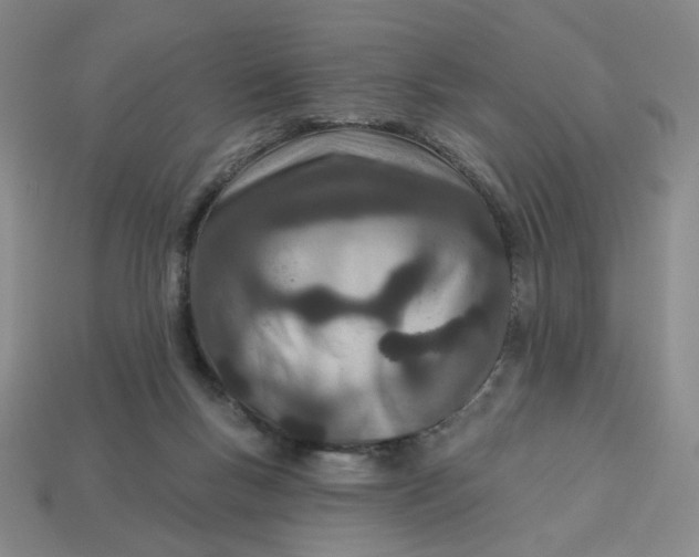 X0000113320167200910051132