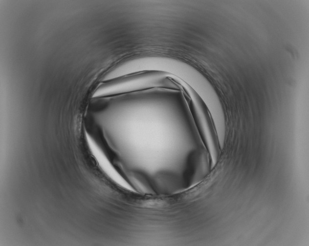 X0000113320168200910051132