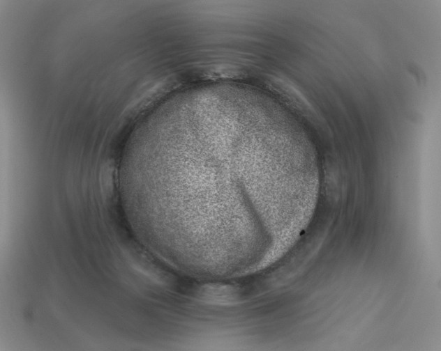 X0000113320169200910051132