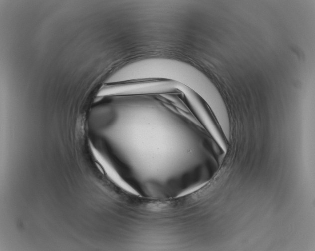 X0000113320172200910051132