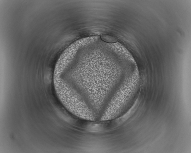 X0000113320174200910051132