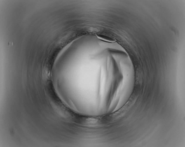 X0000113320176200910051132