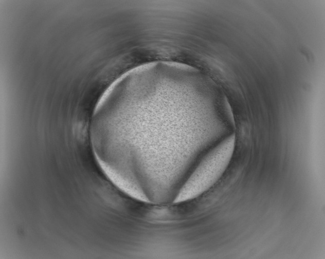 X0000113320177200910051132