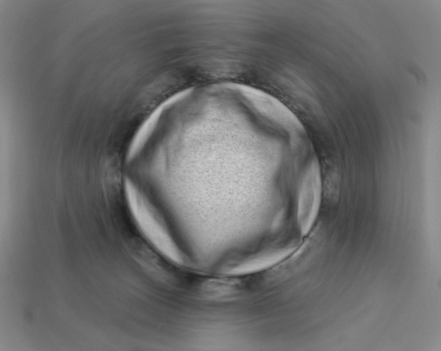 X0000113320179200910051132