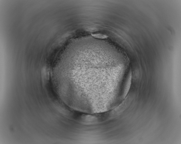 X0000113320180200910051132