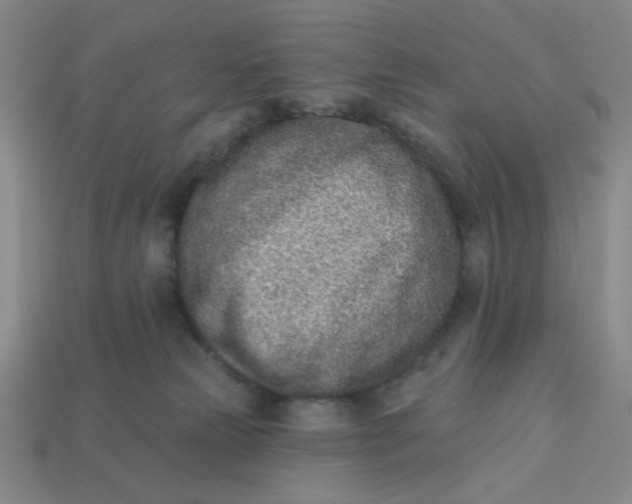 X0000113320181200910051132