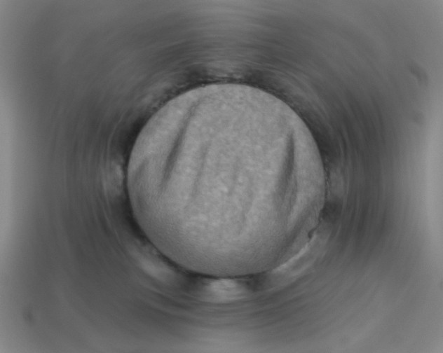 X0000113320183200910051133