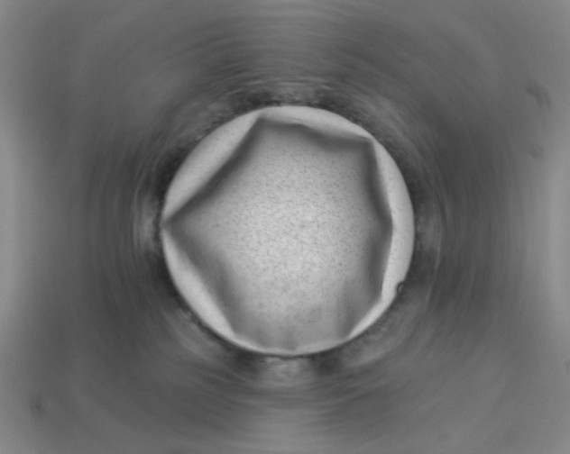 X0000113320185200910051133