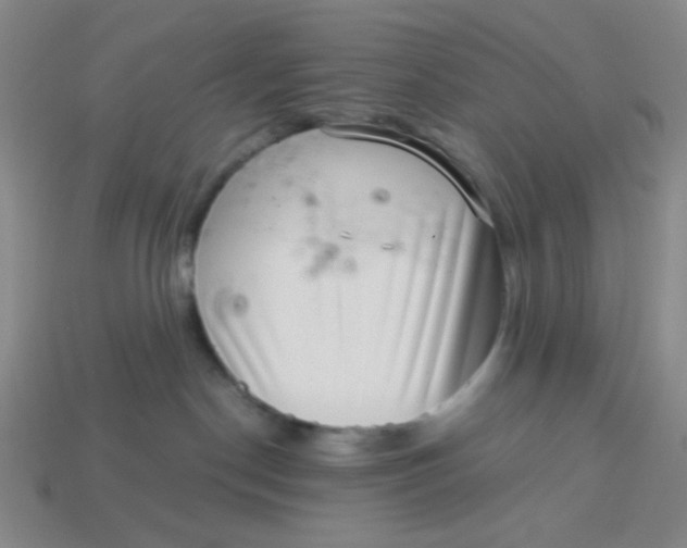 X0000113320190200910051133