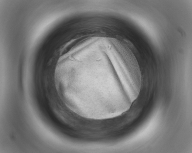 X0000113320191200910051133