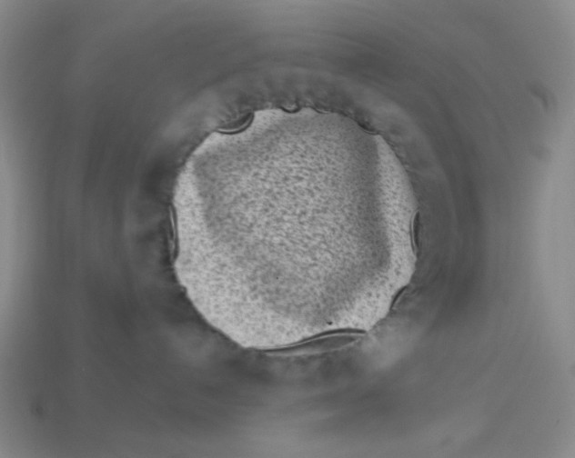 X0000113320192200910051133