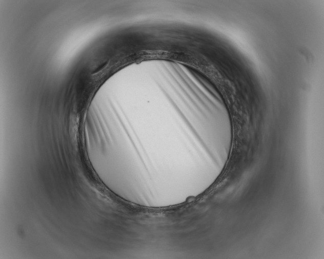 X0000113320194200910051132