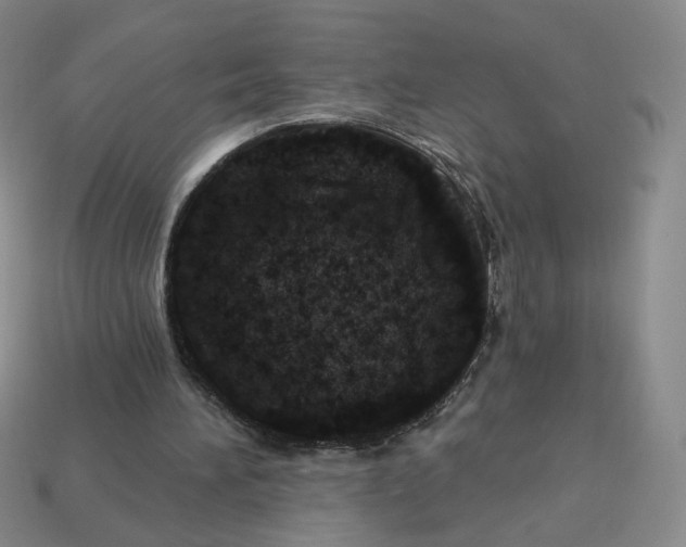 X0000113320196200910051132