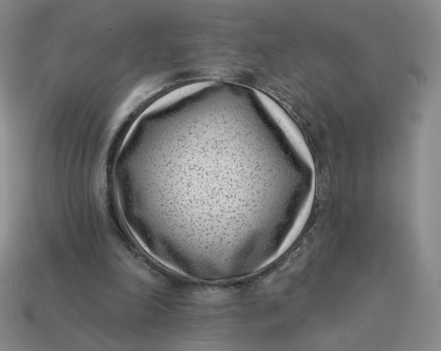 X0000113320198200910051132