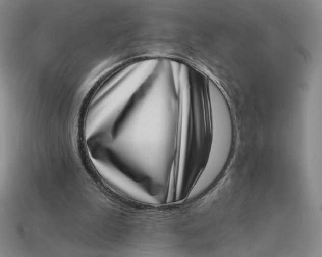 X0000113320199200910051132